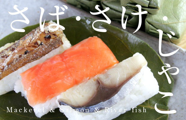 saba_sake_zyako02